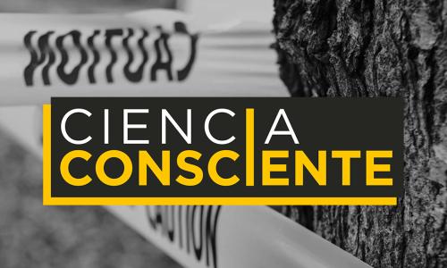 cinta de policía atada a un árbol