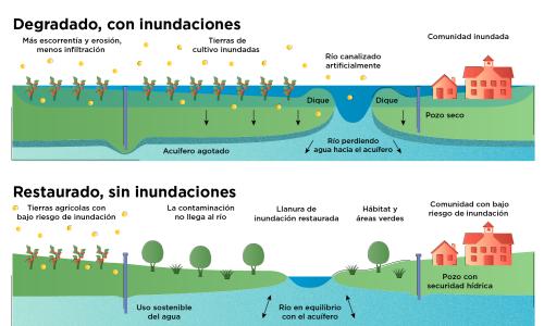 Figura que muestra como restaurar llanuras de inundación